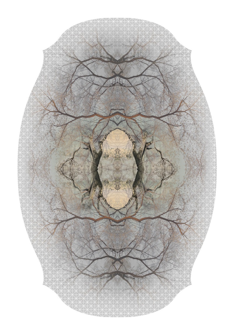 Moooi Diamond Tree Carpet