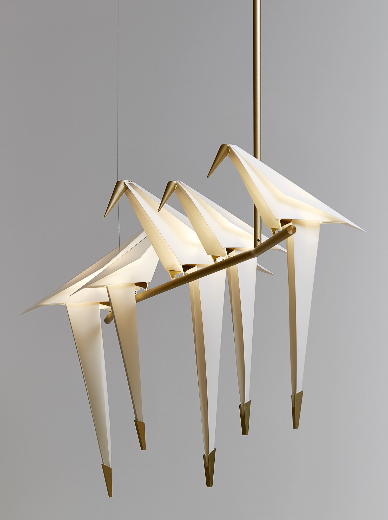Moooi Perch Branch Suspension Lamp
