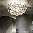 Wall and Ceiling